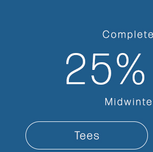 midwinter refresh sale 25% off tees, jeans and handbags for women